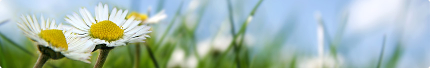 ...wir ermöglichen alles! ...wir ermöglichen alles!